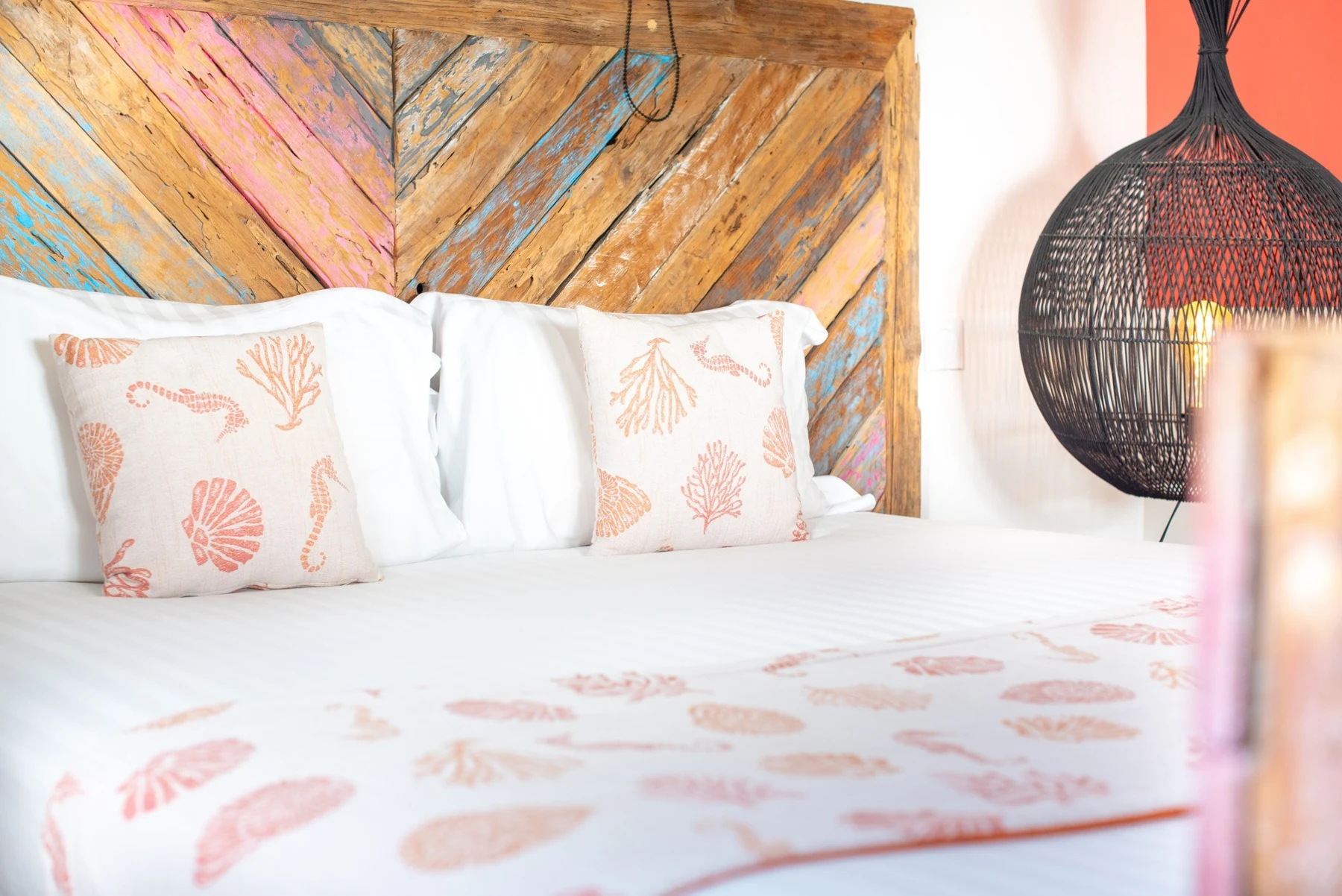 Corail Blanc — vue 5