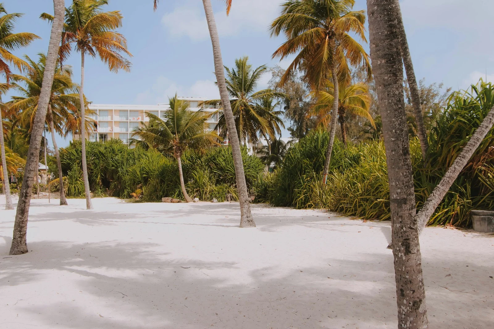 Cocotiers et douceur de vivre en Guadeloupe